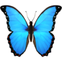 Retrograde Astrology